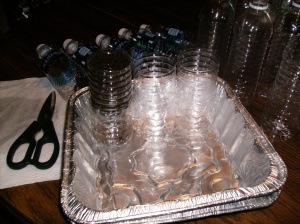 Reusing Water Bottles - Figure 6